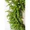 30" Just Cut Real Touch Norfolk Pine Wreath Lifelike Evergreen Holiday Decoration